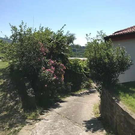 Nona Ervina Koper