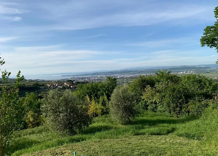 公寓 Nona Ervina *