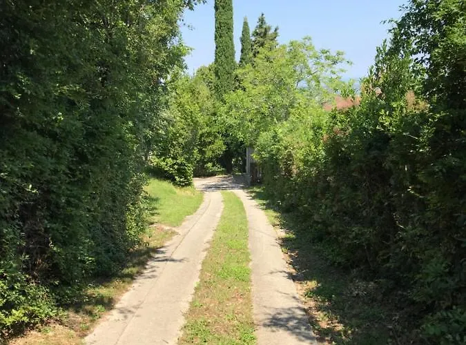 Nona Ervina * コペル