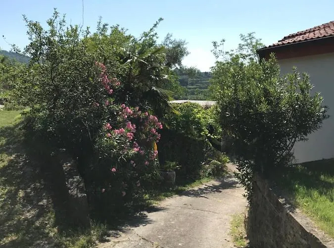 Nona Ervina コペル